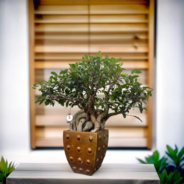 01c8cb0673c24541ac7e409bc330a028