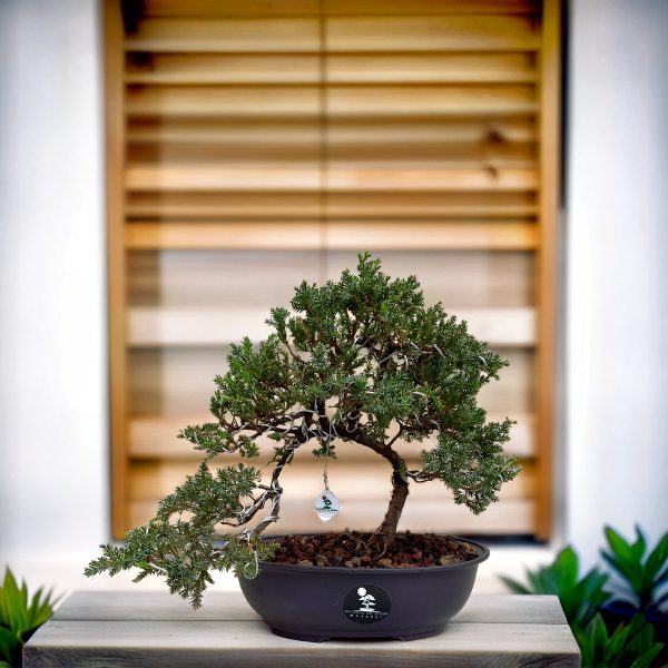 0889541f1e964eca84beec721e45b48f (1)