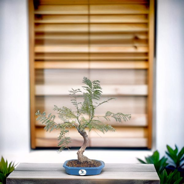 1e7eb2c3487c4a3c9863ca77547bb040