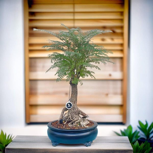 3e6e5282265e4e3294eed2adfa2208ec