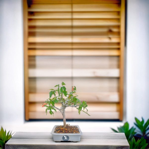 57ea192096d54bfbb474a6b15383a354