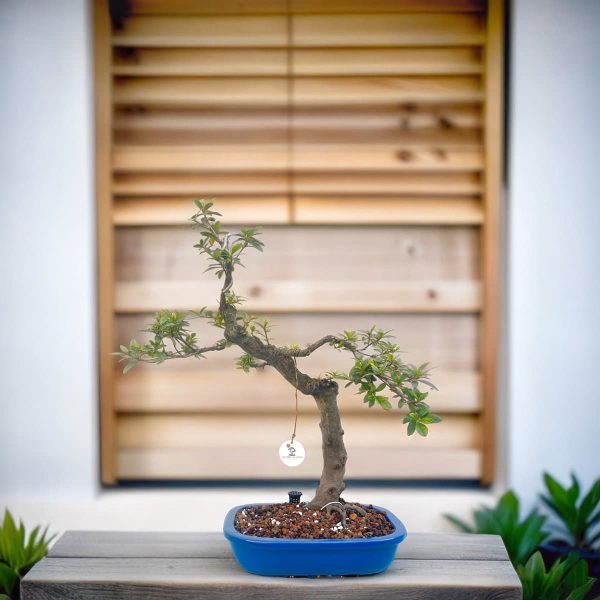 74477b32a0274cbfbae44030560291ef