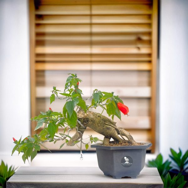 7c5d0affca3b46ffb614e4d0c150e298