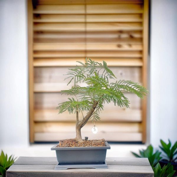 895e0b602d354b2188c51fa4b559bd73