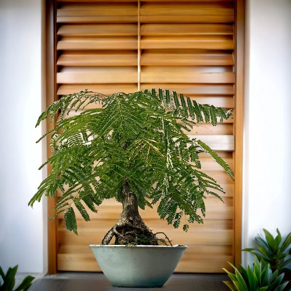 a4af73ac20a940e58287ad0a0412f3ea