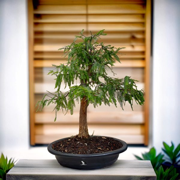 ad7463a24c194e5abc55ba71bde3fd88