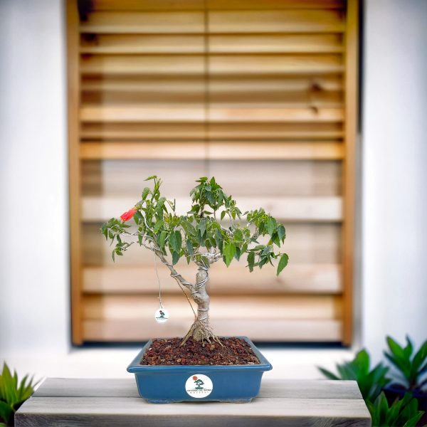 bc0626b10a204d10a4fe18c0acb535d8