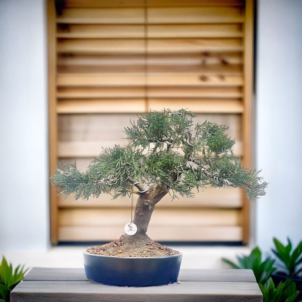 bc2885ac73184fb7886e2e37a4e7fd0b