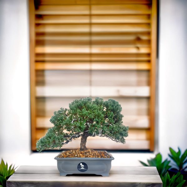 c65db7dc246541aeafd1e075f019742b