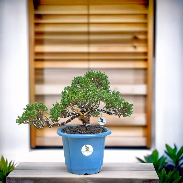 e4ea8861f84b496c805634b0a416d929