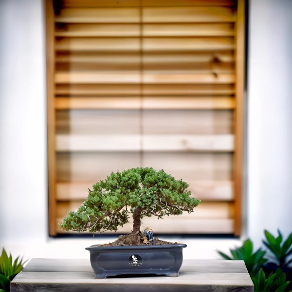 eb025142d8044aca91520ec292477c0a